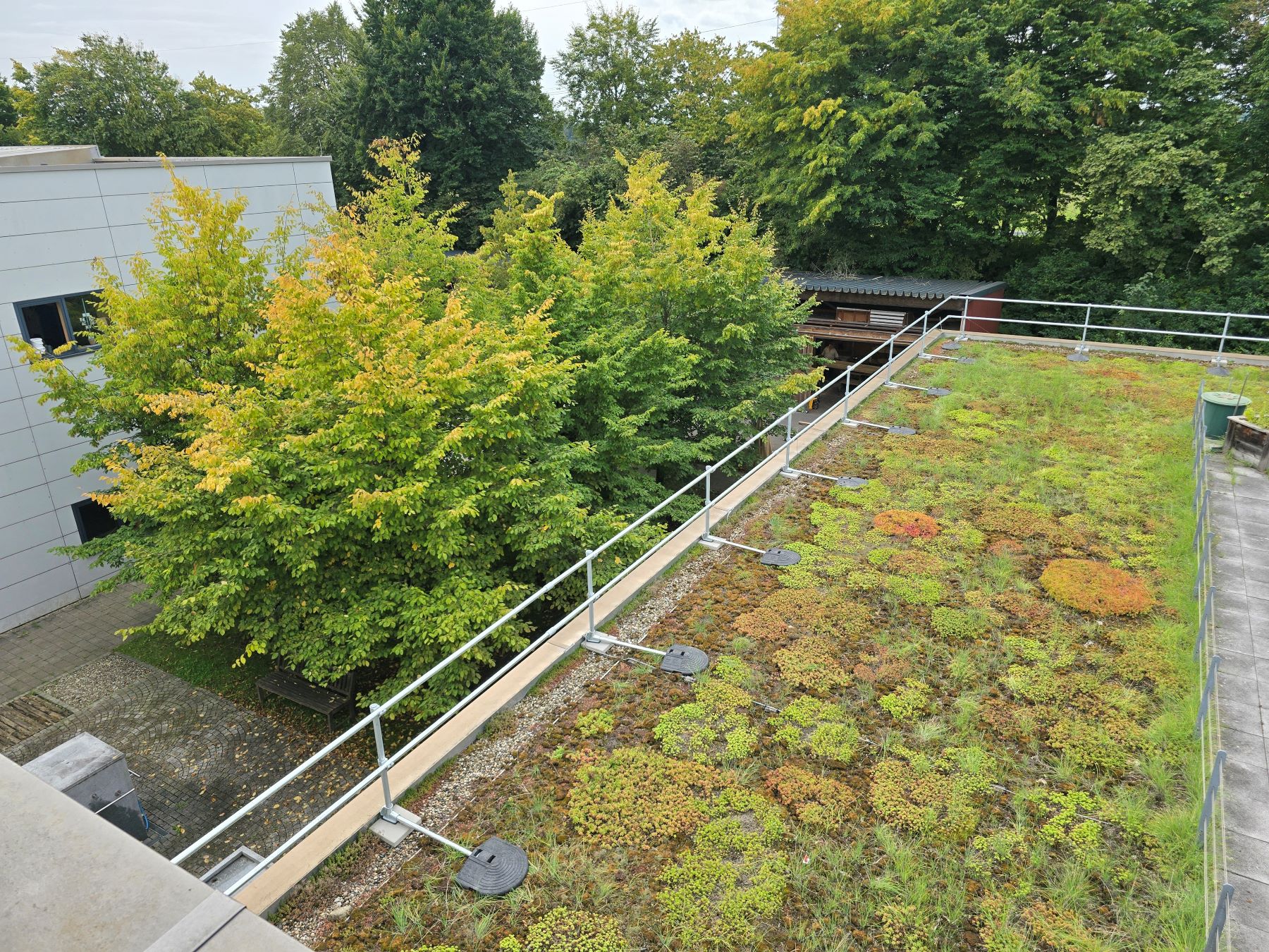 Kee Guard® auf einem Gründach